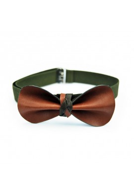 Papillon Marrone Verde