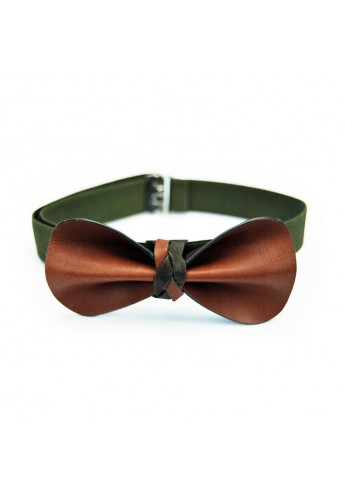 Papillon Marrone Verde